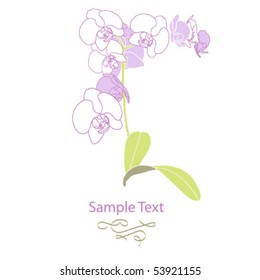 orchid