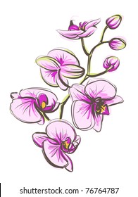 Orchid