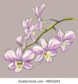 Orchid