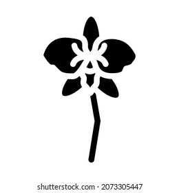 orchid aroma flower glyph icon vector. orchid aroma flower sign. isolated contour symbol black illustration