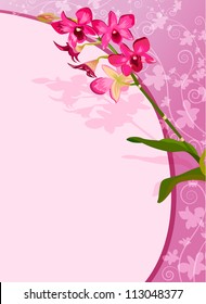 Orchid background