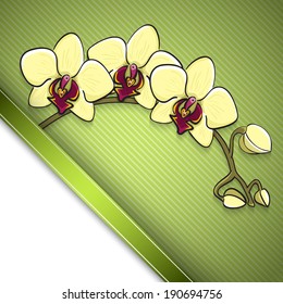 Orchid background, hand drawn flower