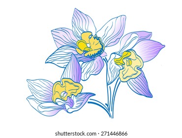 Orchid for backgrounds 