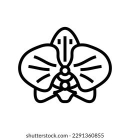 orchid blossom spring line icon vector. orchid blossom spring sign. isolated contour symbol black illustration