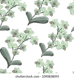Orchid blue flower seamless pattern on a white background. Handmade. Wallpaper, fabric or design of gift paper.