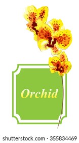orchid branch