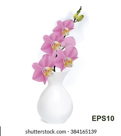 Orchid branch with buds in white vase. Vector illustrator