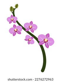 Orchid branch concept vector illustration
