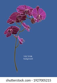 Orchid branch design invitation card. Nature realisitc vector illustration hand drawn.