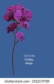 Orchid branch design invitation card. Nature realisitc vector illustration hand drawn.