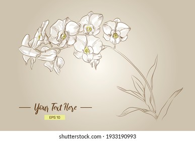Orchid Branch Monochrome Vector Isolated Handwritten Doodle Illustration