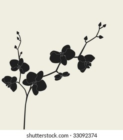 Orchid branch silhouette, vector illustration