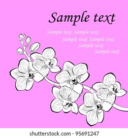  orchid branch. Vector illustration