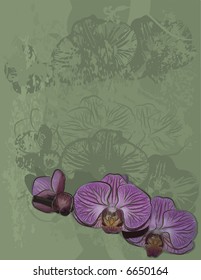 Orchid buds still life drawn with a grunge brush, with grunge background, file has no gradients.