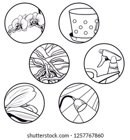 Orchid care. Vector hand drawn icons