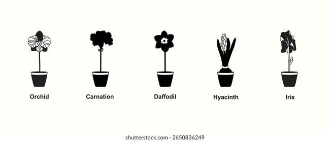 Orquídea, cravo, daffodil, Íris Preenchimento sólido vetor ícones conjunto Floral contorno coleção para desenhos botânicos e natureza	