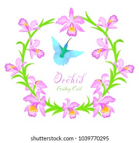 Orchid circle frame greeting card with flying bird. Hummingbird and flowers isolated on white.