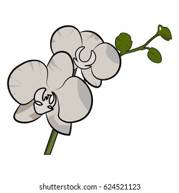 Orchid color vector icon.