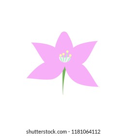 orchid colored icon. Element of colored autumn icon for mobile concept and web apps. Colored orchid icon can be used for web and mobile on white background