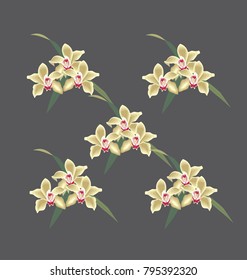 Orchid design Background