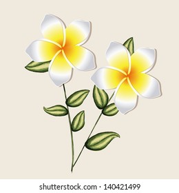 orchid design over pink background vector illustration