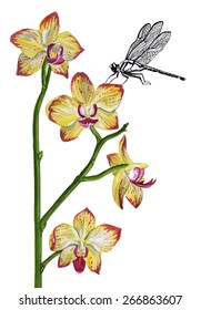 orchid and dragonfly