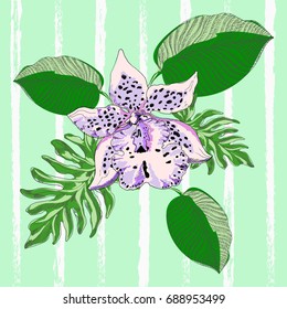 Orchid with exotic flowers on light green background in style pop art. Vector