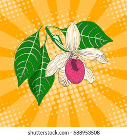 Orchid with exotic flowers on an orange background in the style of pop art. Vector