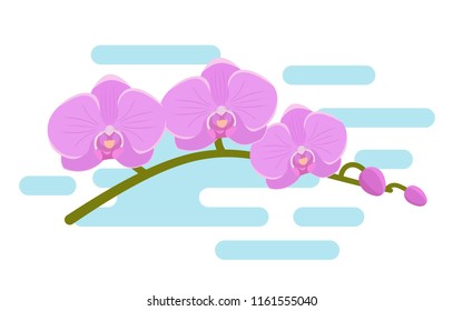 Orchid in flat design. Vector. Branch pink orchid on white background. Nature horizontal banner.