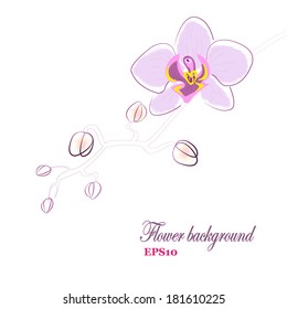 Orchid. Floral background.