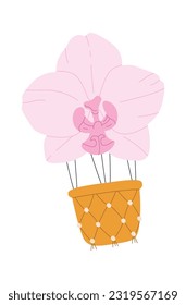 Ilustración del vector de la cesta de globos de flores orquídeas