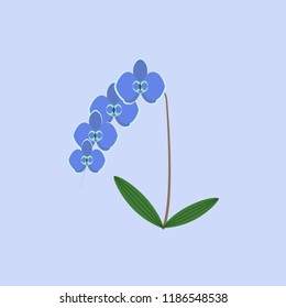 Orchid flower blue color icon. Element of colored beautiful flowers icon for mobile concept and web apps. Color Orchid flower blue icon can be used for web and mobile