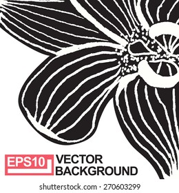 Orchid flower in the contour drawing. Vector background. Hand-drawn work.