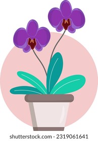  orchid flower flat illustration vector design