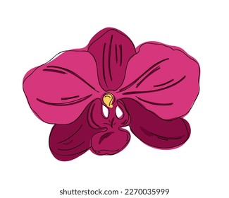
Flor de orquídeas. Ilustración vectorial plana