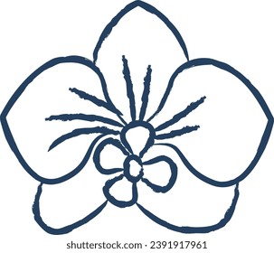 ilustración vectorial dibujada a mano de flores de orquídea