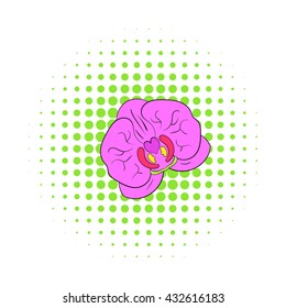 Orchid flower icon, comics style