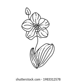 Orchid Flower Icon in a Trendy Minimalist Liner Style. Vector Floral Illustration for printing on t-shirt, Web Design, beauty Salons, Posters, creating a logo and other