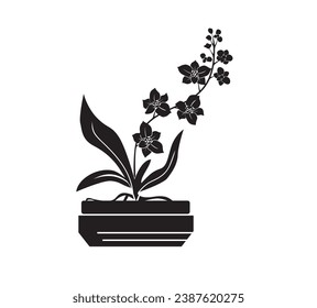 orchid flower icon vector illustration