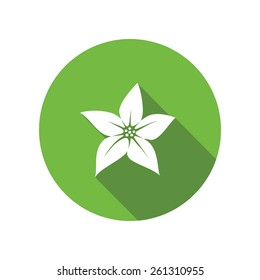 Orchid flower icons. Floral symbol. Round circle flat icon with long shadow. Vector