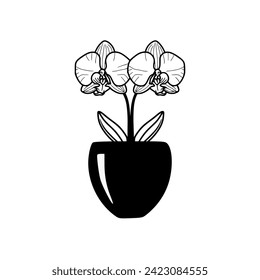 orchid flower illustration and icon - flat design