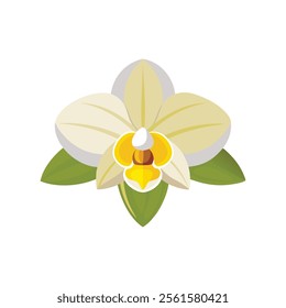 
Orchid flower isolated flat vector illustration on white background