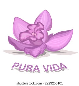 Orchid flower isolated on white background, symbol and slogan of pure lifestyle, flat vector illustration.