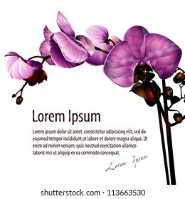 orchid flower label with space for your message