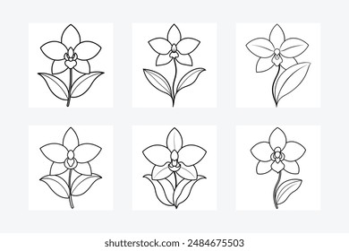 Orchid flower line art vector illustration