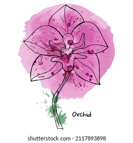 Orchid flower linear style without filling on a watercolor pink background. Hand drawing. Valentine's day. Isolated object on a white background. Vector illustration.