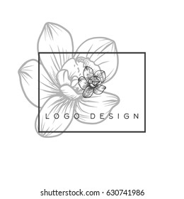 Orchid Flower Logo Design Idea