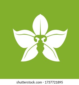 Orchid Flower Logo Vector Art