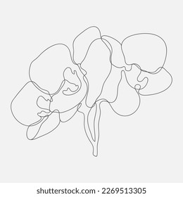 Orchid flower mono-line drawing. Hand-drawn line-art vector illustration.