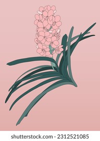 Orchid flower on pink background, minimal tropical summer print card design